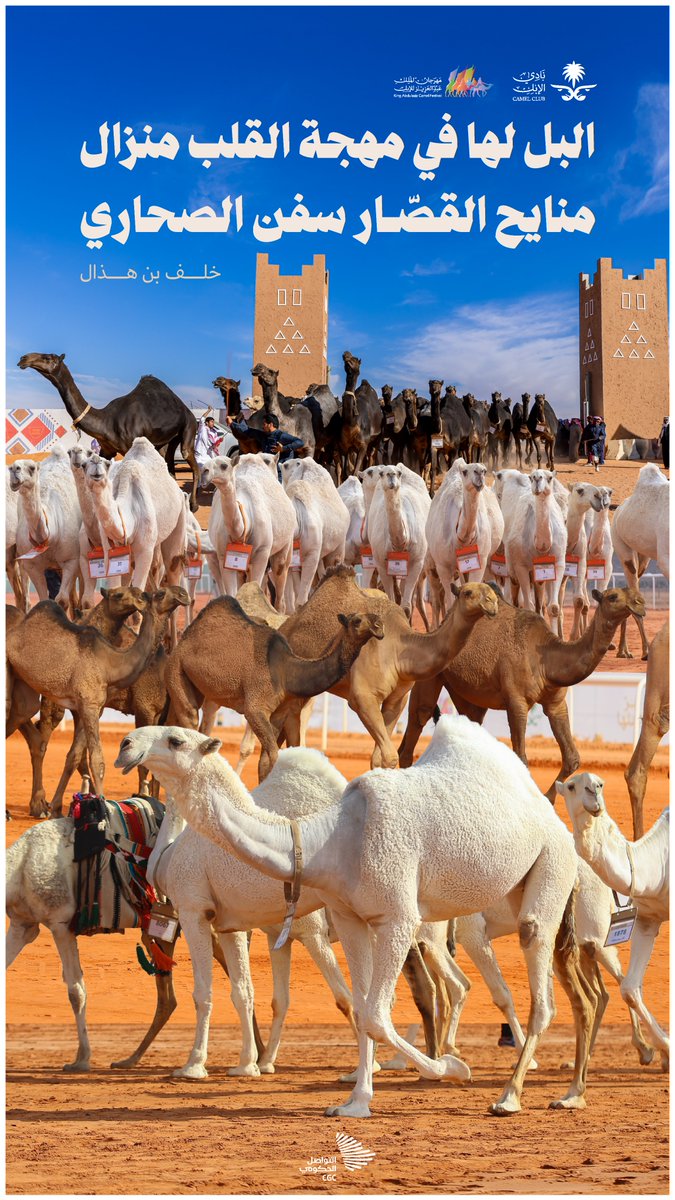 "البل لها في مهجة القلب منزال"؛ حضور استثنائي يزين ميادين الصياهد، حيث يتلاقى جمال الإبل بعراقة التراث في #مهرجان_الملك_عبدالعزيز_للإبل9. #التواصل_الحكومي