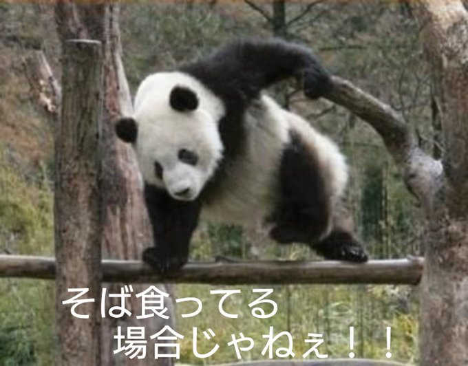 ガールズバーbee（ビー）