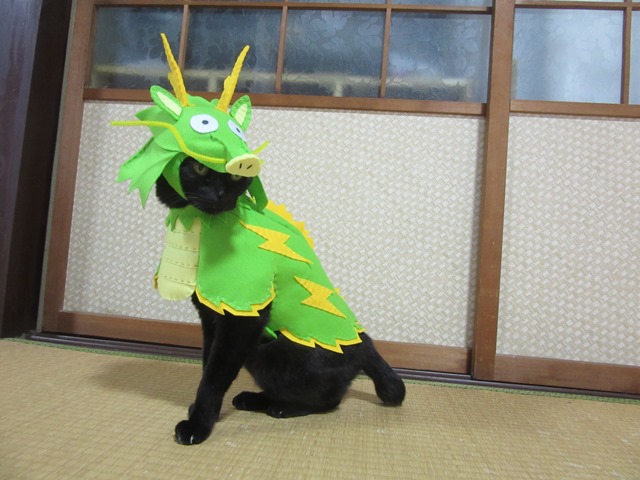 kigurumicyokor1's tweet photo. ２０２４年「辰」
２０２５年「巳」
毎年コスプレしては年賀状にしているのですにゃ～(≧▽≦) https://t.co/J4tNnedyh8