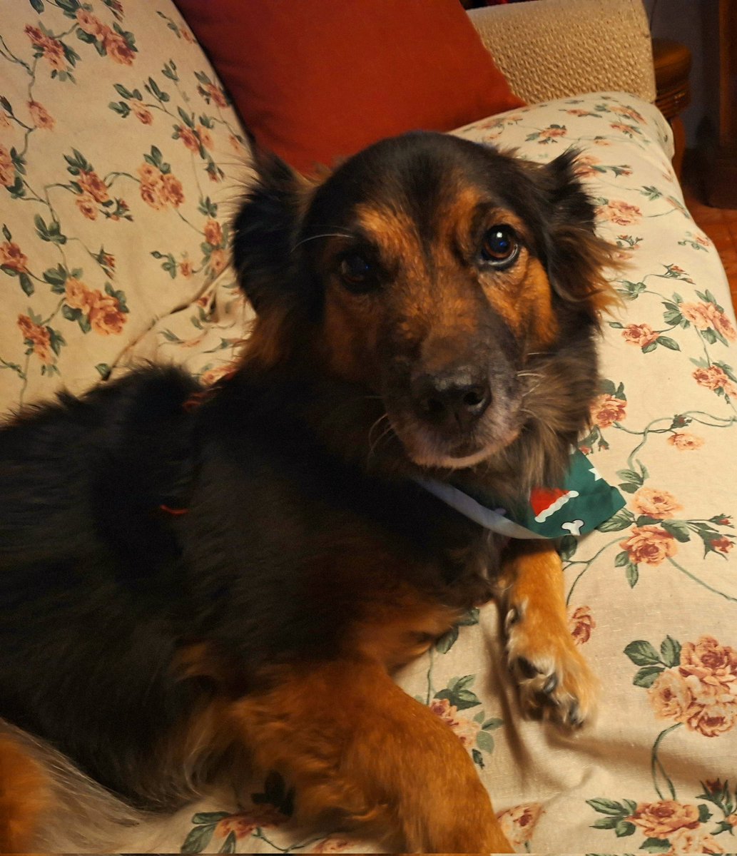 AUGURI SINCERI  A TUTTI, AMICI E NON, PER UNO SPLENDIDO 2025.
SPLENDIDO COME GLI OCCHI DELLA MIA PICCOLA GIOIA.
AUGURIIIIII ! RITA P.