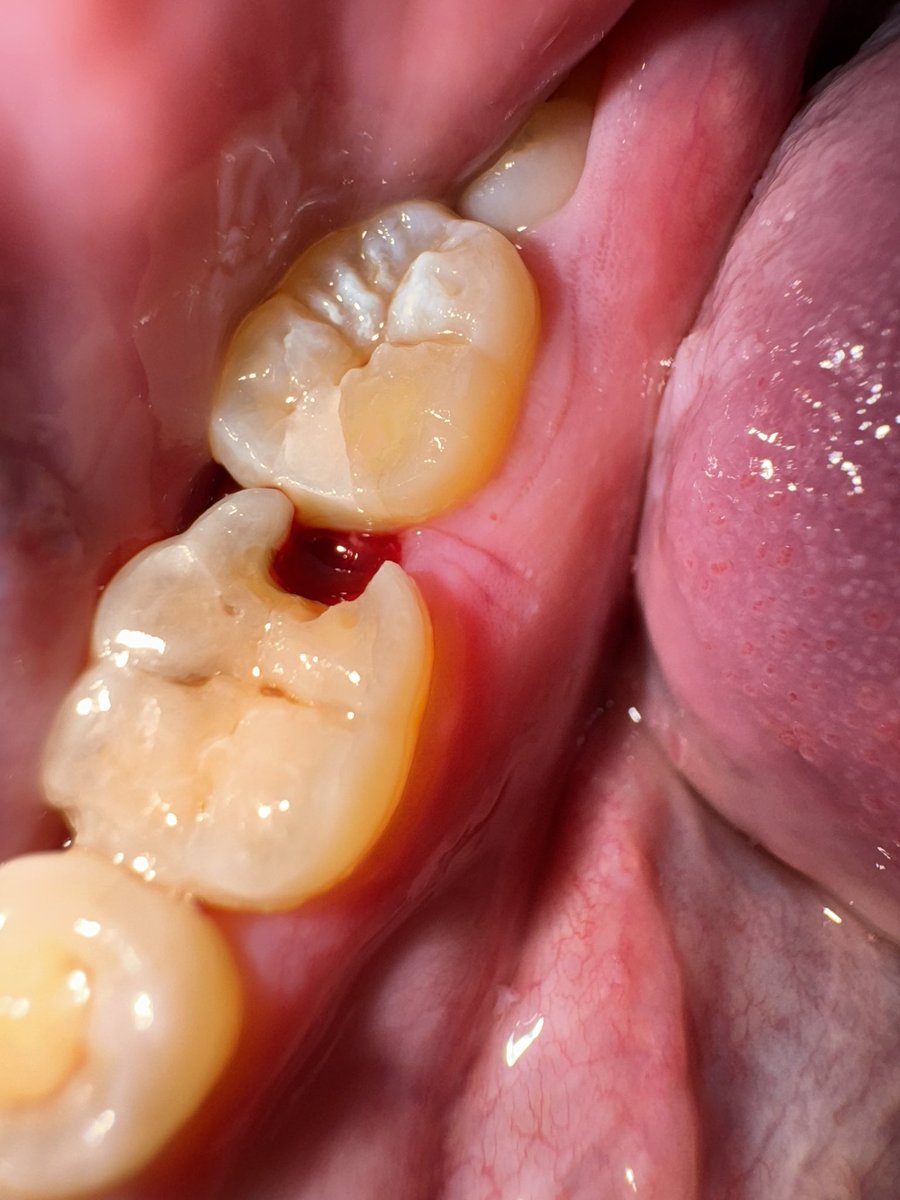 Ryan Nicholas tweet media