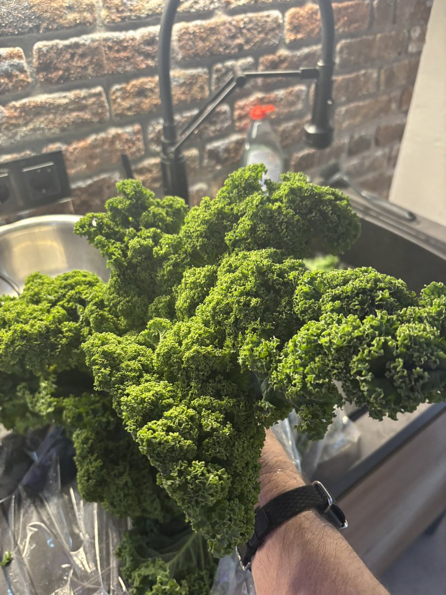 Vor der nächsten Wahl schnell noch meine drei Pflanzen abgeerntet.