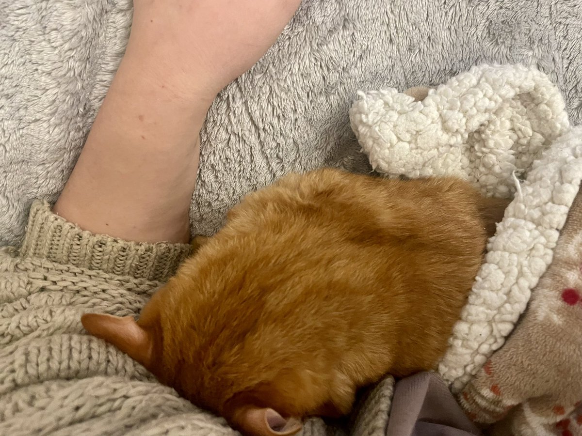 もちも | 脳障害＆重症難治てんかんのノチェロ、二分脊椎のルーさん tweet media