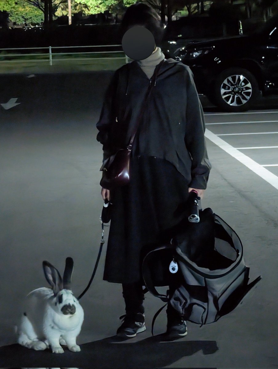 kancolle tweet media