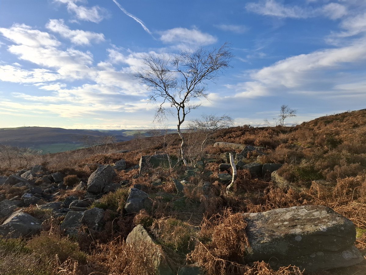 Tim Hardie tweet media