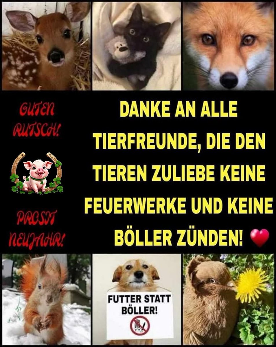 ALLEN TIERFEUNDEN EINEN GUTEN RUTSCH UND PROSIT 2025!💗☘️🥂
SCHÖN, DASS ES EUCH GIBT!💓