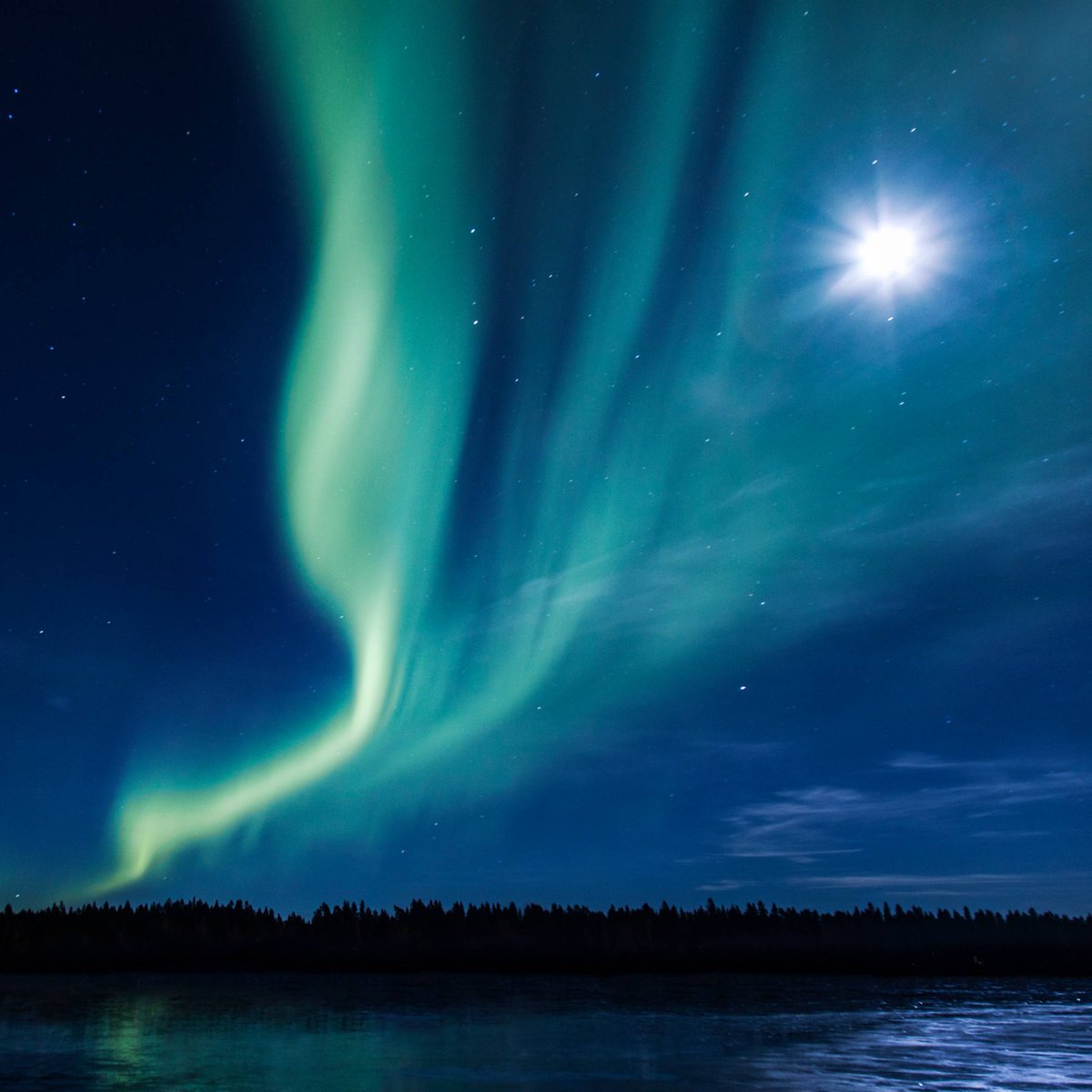 Gott nytt år! Vi firar med ett naturens fyrverkeri över Nydala och önskar er alla ett riktigt fint 2025. 💫 

Bild av den internationella studenten Carolyn.
