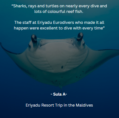 Dive Worldwide tweet media