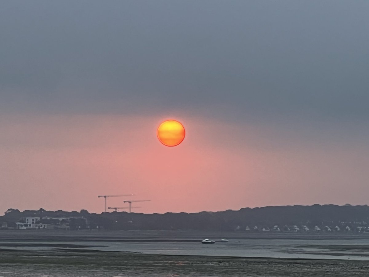 emmabuk72's tweet image. #2024recap #september2024