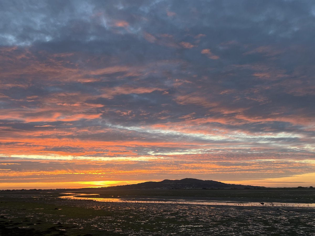 emmabuk72's tweet image. #2024recap #september2024