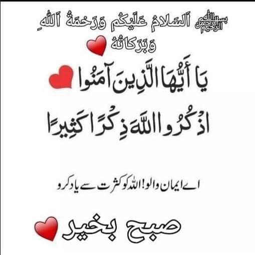 Assalamu alaikum  
My dear x mate's 
Stay connected 
Good evening my dear ❤