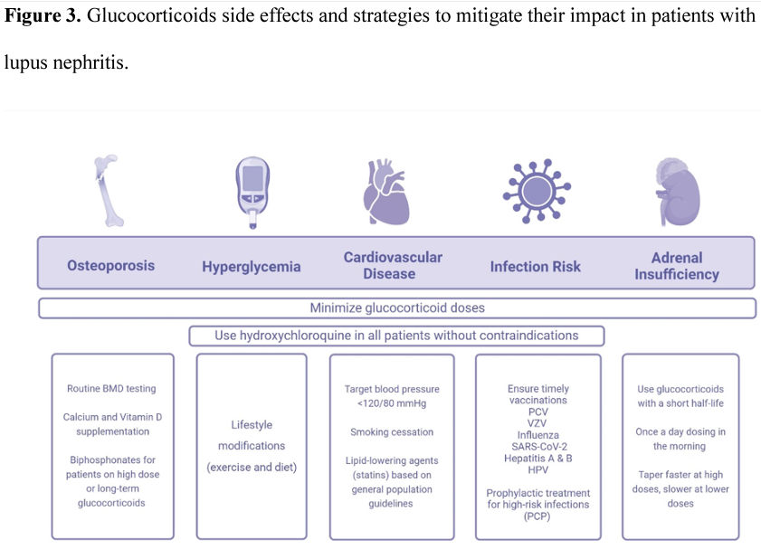 Optimal Glucocorticoid Therapy in Lupus Nephritis

doi.org/10.1093/ndt/gf…