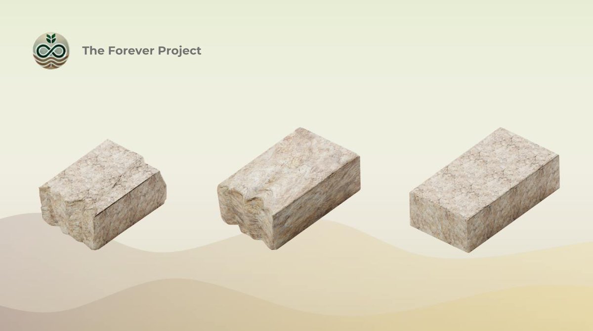 The Forever Project tweet media