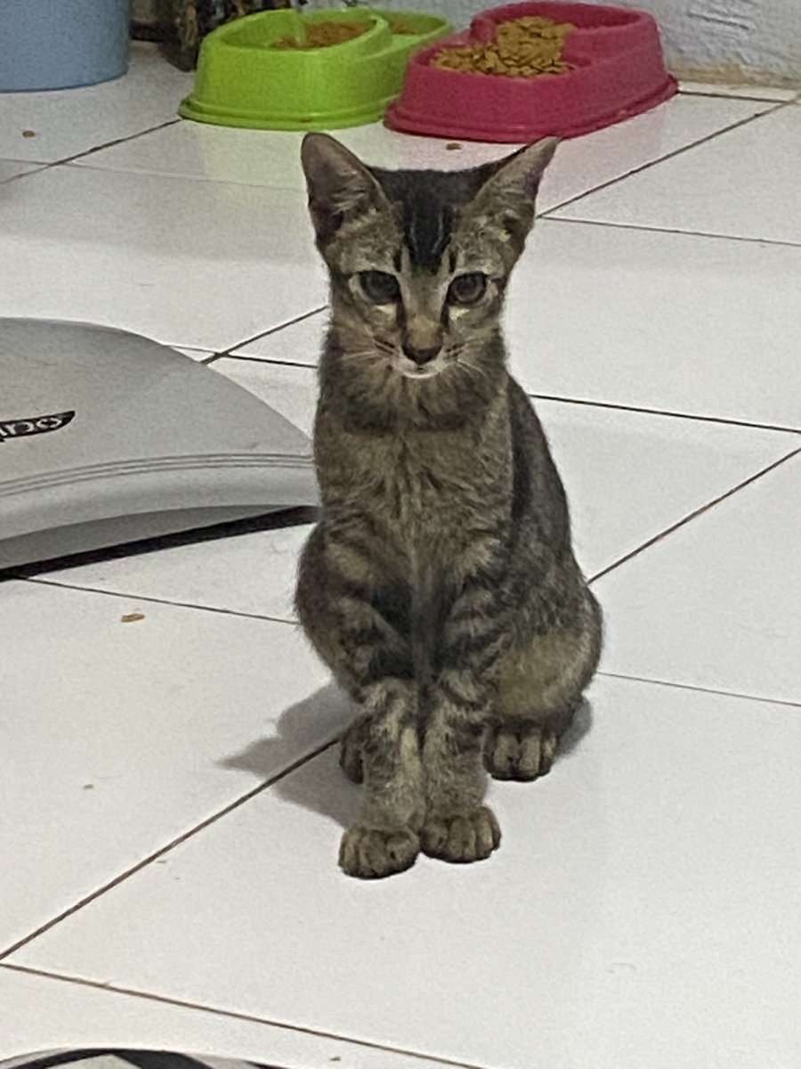 rzkysapp's tweet photo. @kochengfs dengan pose yang sama https://t.co/KHvuthKdPa
