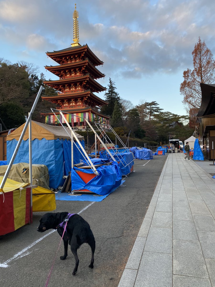 sugi_19 tweet media