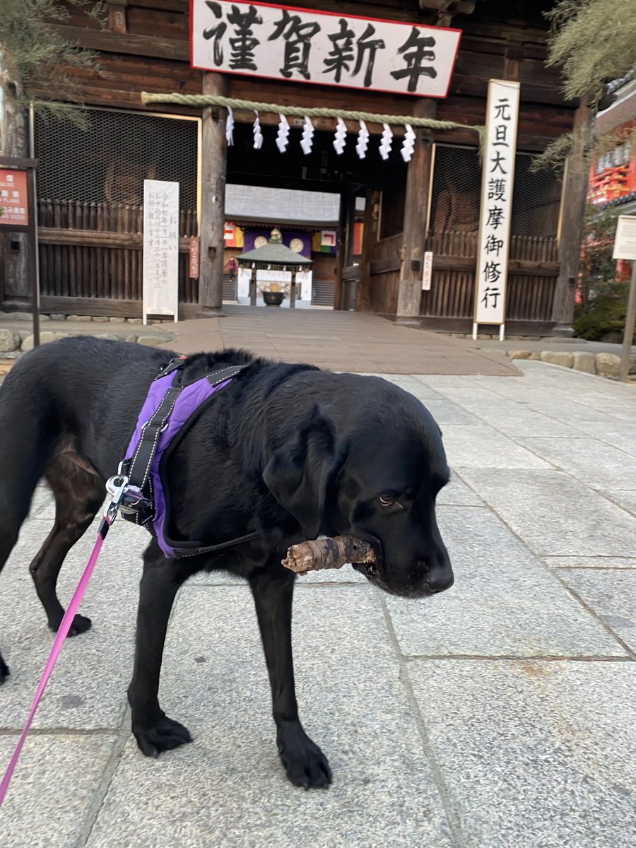 sugi_19 tweet media