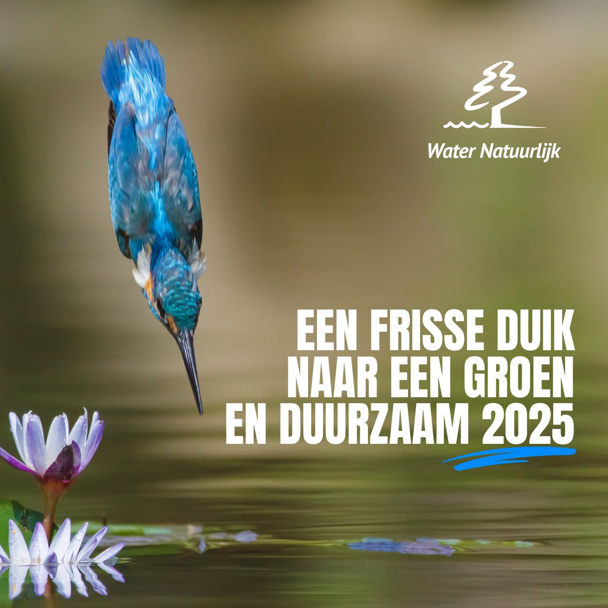 🌱 Met een frisse blik en gezamenlijke inzet duiken we natuurlijk naar een toekomst vol helder water, groene natuur en duurzame keuzes. 💧
✨ Wij wensen iedereen een inspirerend en duurzaam nieuw jaar!
#Duurzaam #GroeneToekomst #Waterbeheer #InspirerendNieuwJaar #WaterNatuurlijk
