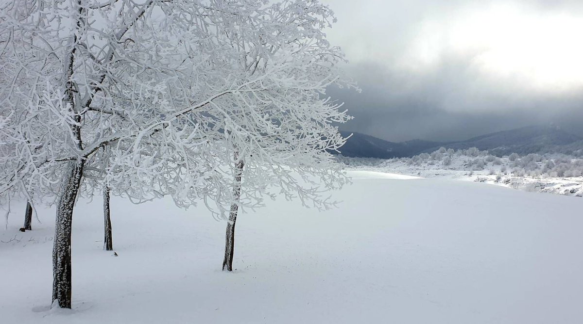 marianRGK's tweet photo. Hay un tipo de belleza que no admite competencia. 

La campa de Urbia, en invierno, es un escenario inenarrable y se ofrece bajo un cielo que parece contener la eternidad misma. Hasta los árboles son como tallas en cristal.

#negua #Urbia #Oñati #invierno2024 #findeaño https://t.co/qWaGlh9NZb