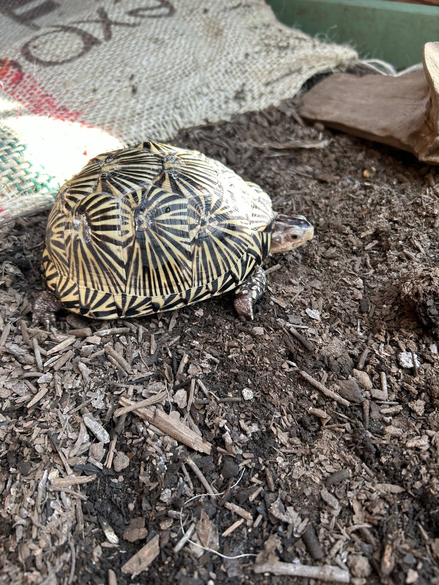 今年の繁殖の成績は去年より劣るけど、全体的には、沢山の方々にお付き合いいただき、楽しい一年でした。ありがとうございました。皆さま、良いお年をお迎えください！