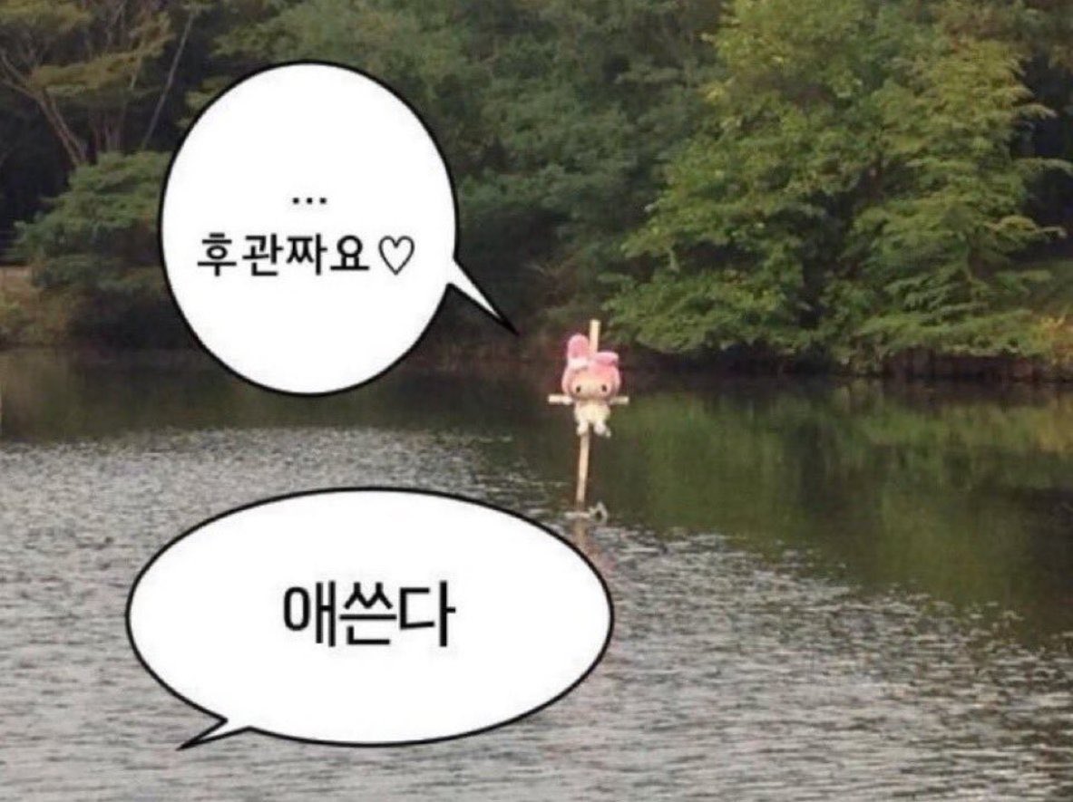 착한 이웃🩶 tweet media