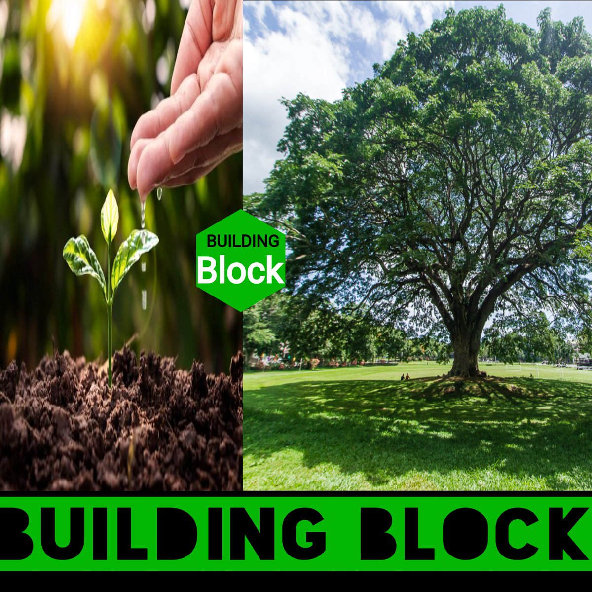 Faith1.stx tweet media