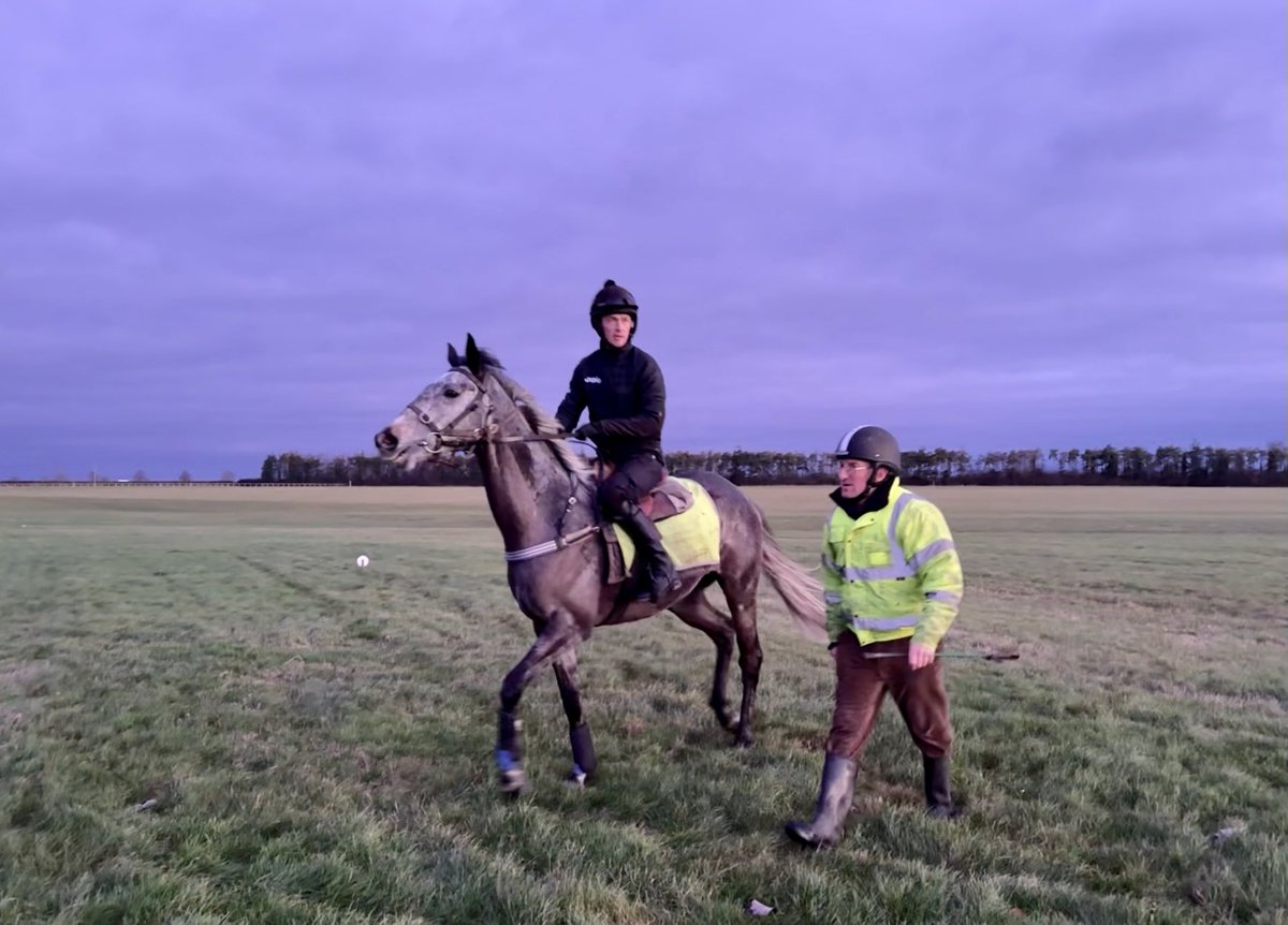 CollingsBerry's tweet photo. Schooling at sun up on the last day of a year in which our 11 runners combined for 10 wins and another 20 top 3 finishes. 

Proud of them all, the small team that looks after them, and the man whose tireless work keeps the show on the road. 

Thank you to all the owners involved. https://t.co/TLLtlDGf8J