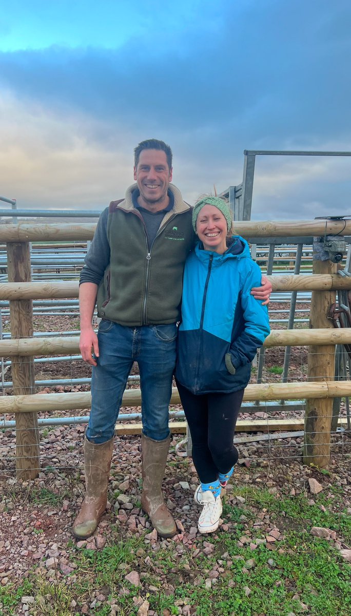 Dan Jones tweet media