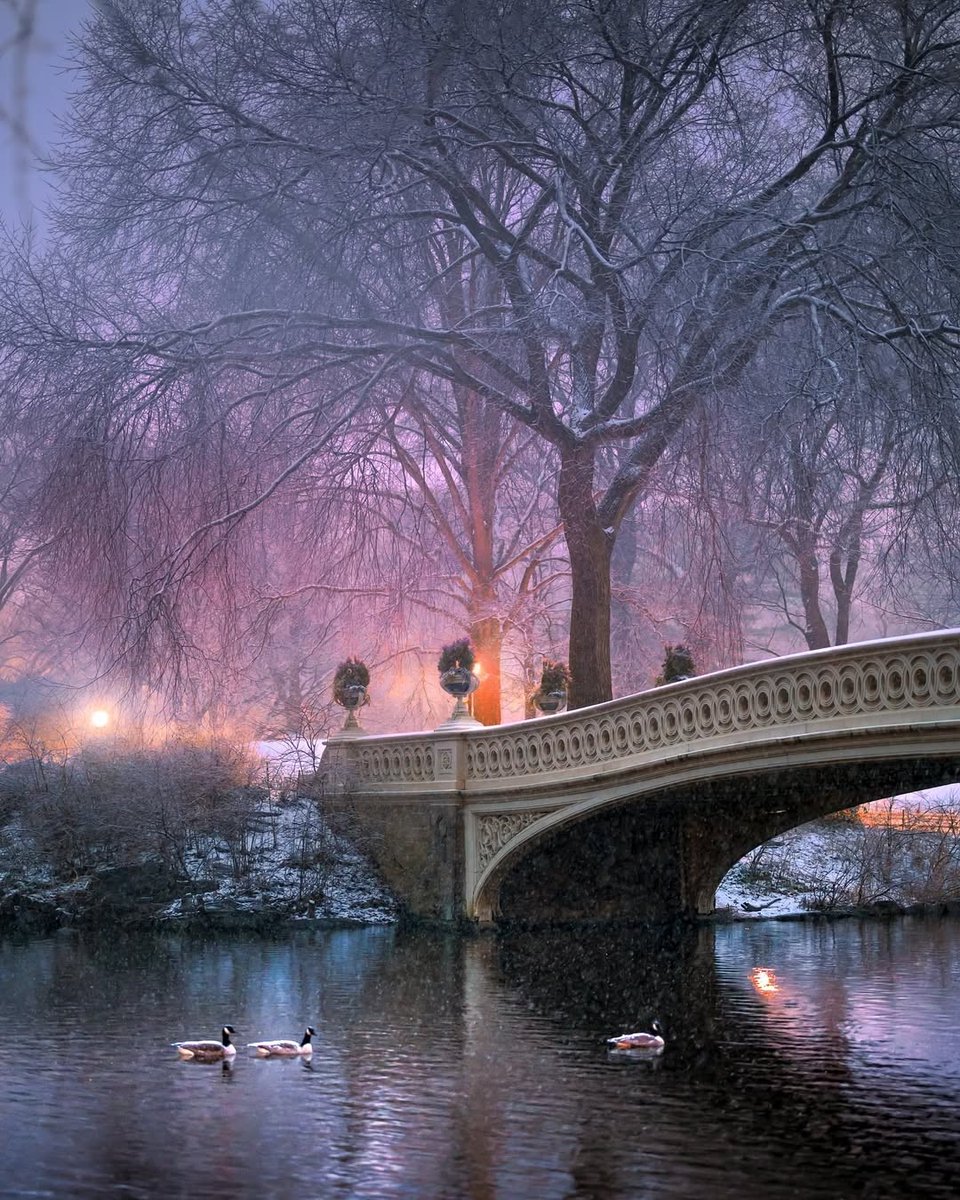 Good Morning Folks ... Central Park is beautiful
📸 <a href="/CentralParkNYC/">Central Park</a>