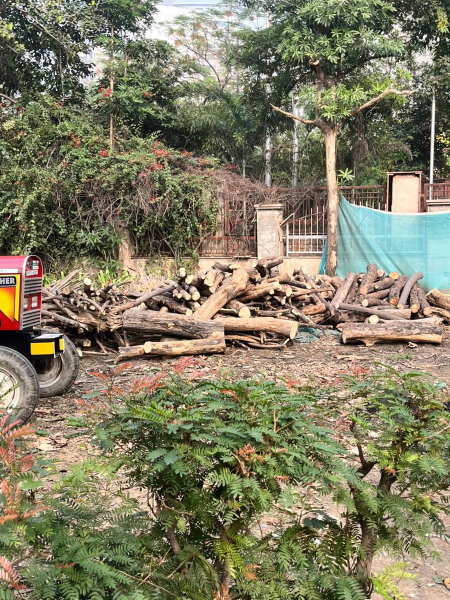 Ishita Jalan💧 (@ishitajalan_) on Twitter photo Spotted the activity of cutting trees at 1 pm today.
<a href="/CeoNoida/">CEO, NOIDA Authority</a> <a href="/noida_authority/">NOIDA Authority</a> <a href="/noidapolice/">POLICE COMMISSIONERATE GAUTAM BUDDH NAGAR</a> Bringing the issue to your attention before this expands to more trees. Spotted the activity of cutting trees at 1 pm today.
<a href="/CeoNoida/">CEO, NOIDA Authority</a> <a href="/noida_authority/">NOIDA Authority</a> <a href="/noidapolice/">POLICE COMMISSIONERATE GAUTAM BUDDH NAGAR</a> Bringing the issue to your attention before this expands to more trees.