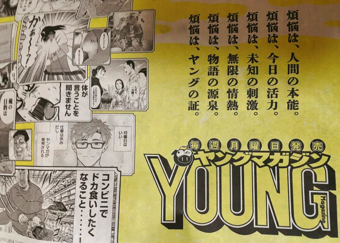 本日の朝日新聞にヤンマガの大きな広告掲載されており、『税金で買った本』の作中のコマも載せていただいております…!休日白井回のコマ多めチョイスで、ドカ食いハンチョウと隣接したりして嬉しい…!
あわててコンビニに新聞買いに行ったらあったのでよかったです。 