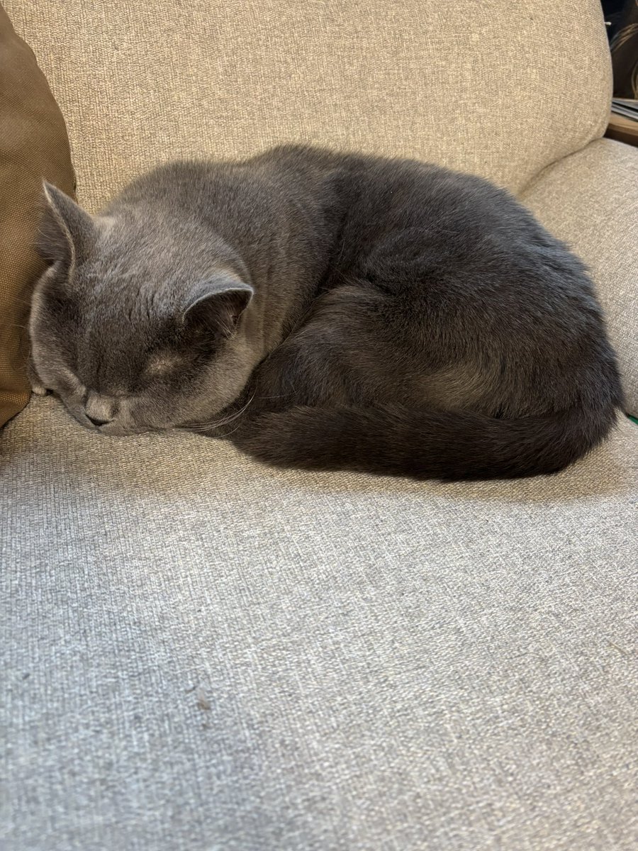 来年もどうぞよろしくお願いします。