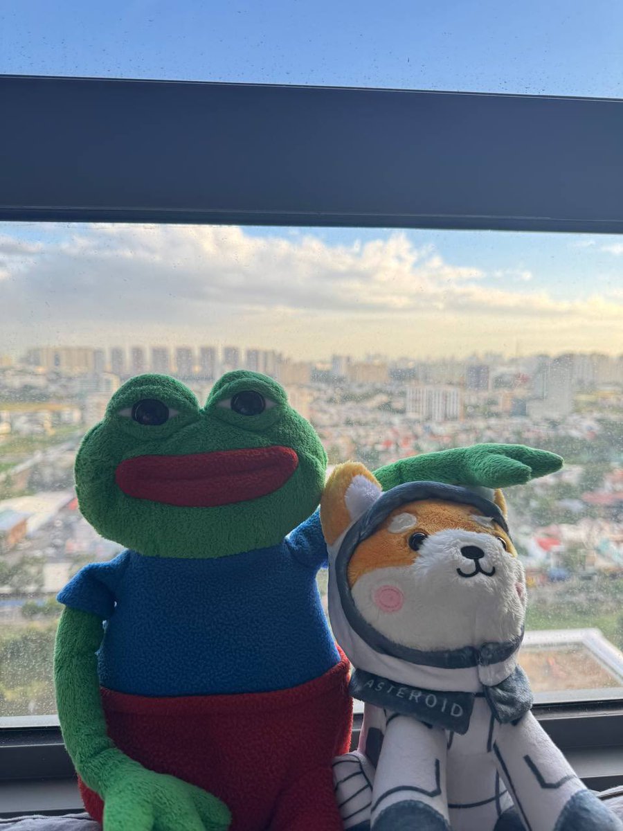 #Asteroidshiba $pepe 💨$kekius