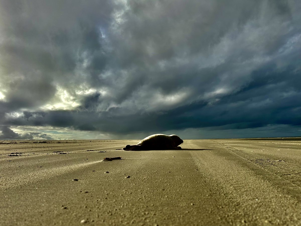 We kruipen het nieuwe jaar in #Schiermonnikoog