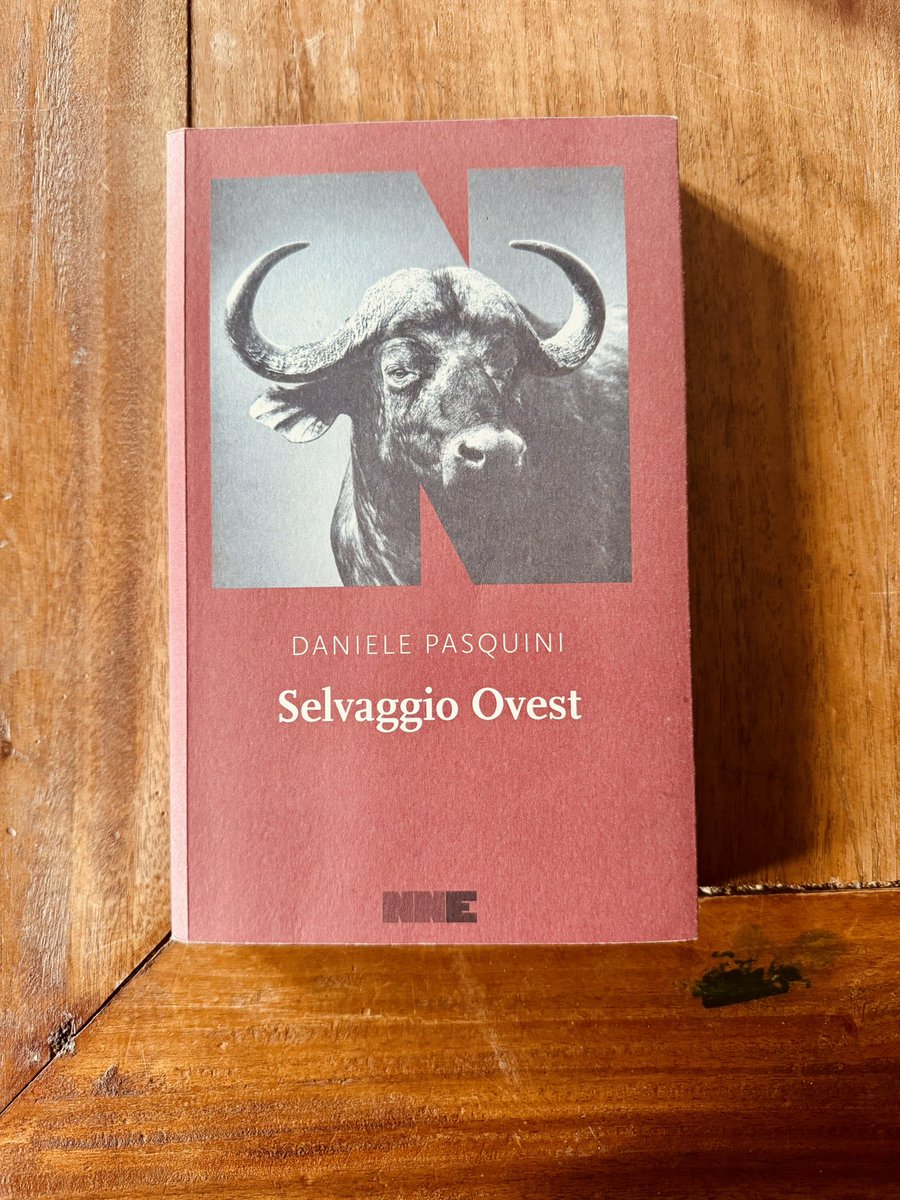 Infine, romanzo storico ma anche western, nella
bellissima veste di <a href="/nneditore/">NN Editore</a> - mi ha dato l’opportunità di conoscere <a href="/danielepasquini/">danielepasquini</a> e entra di diritto nella cinquina: Selvaggio Ovest.