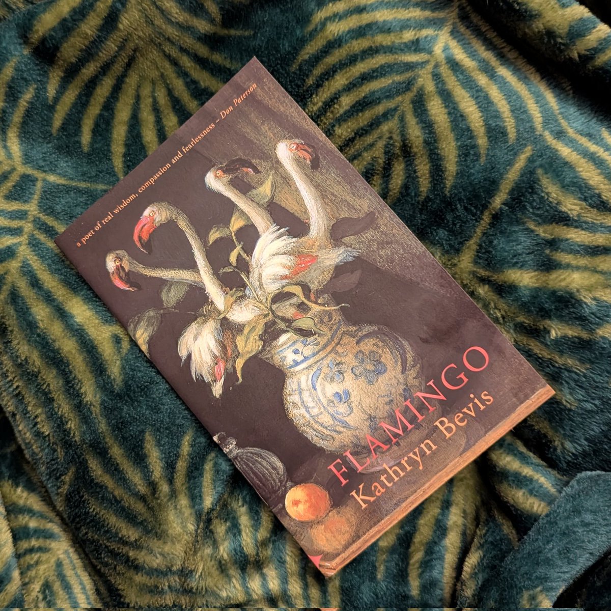 Cherry Doyle π (@cmdoet) on Twitter photo Me, to myself, ugly-crying at midnight: "stop buying books!"
Gorgeous, heartbreaking, illuminating pamphlet from the late <a href="/BevisKathryn/">Kathryn Bevis</a> <a href="/SerenBooks/">Seren Books</a> β¨
Yes, I bought The Butterfly House too π¦ Me, to myself, ugly-crying at midnight: "stop buying books!"
Gorgeous, heartbreaking, illuminating pamphlet from the late <a href="/BevisKathryn/">Kathryn Bevis</a> <a href="/SerenBooks/">Seren Books</a> β¨
Yes, I bought The Butterfly House too π¦