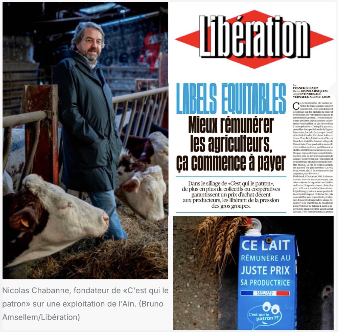 Dans Libération aujourd’hui #SoutienAuxProducteurs « Ce ne sont pas les 120 vaches laitières de Régis Mainguy qui s’en plaindront, elles qui dorment désormais sur des matelas de paille et bénéficient de ventilateurs quand la température grimpe. (…) Pour l'exploitation des