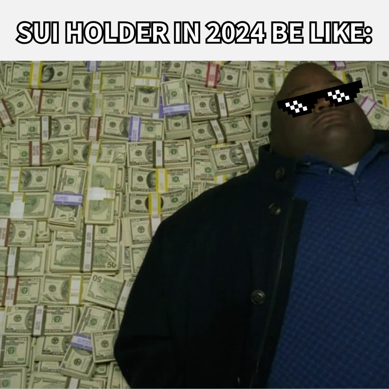 Look what we've achieved in 2024 and imagine $SUI in 2025

Happy new year to all $SUI folks!
