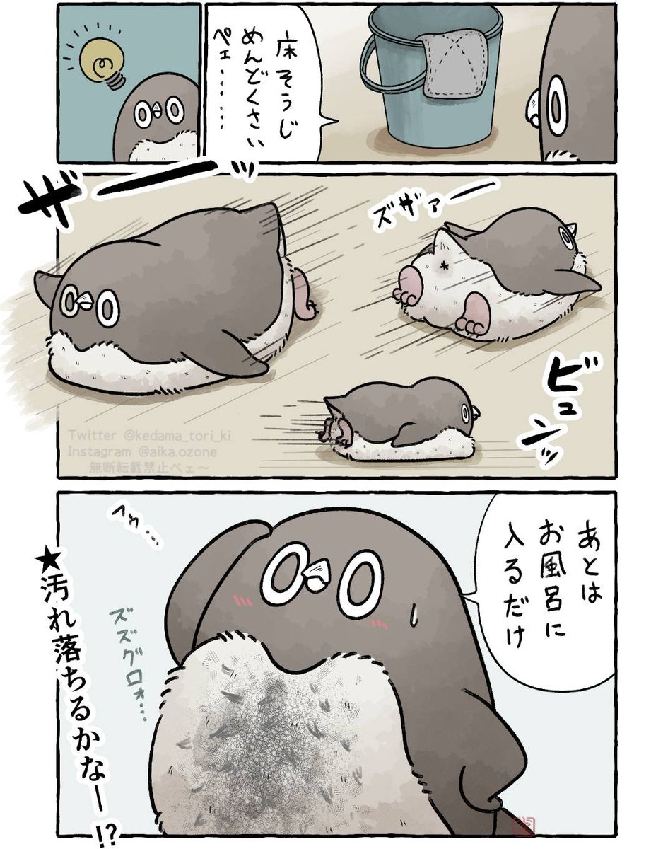 "ペンギン"を活かした天才的掃除方法
#虚無かわいいアデリーペンギン 