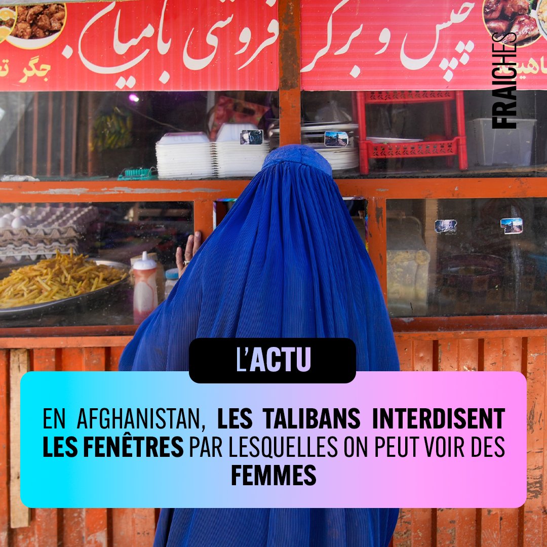 L'ACTU DU JOUR 👇

Les autorités talibanes ont annoncé samedi 28 décembre l’interdiction de construire des fenêtres qui donneraient sur les endroits utilisés par les femmes, comme la cuisine, pour éviter des «actes obscènes».