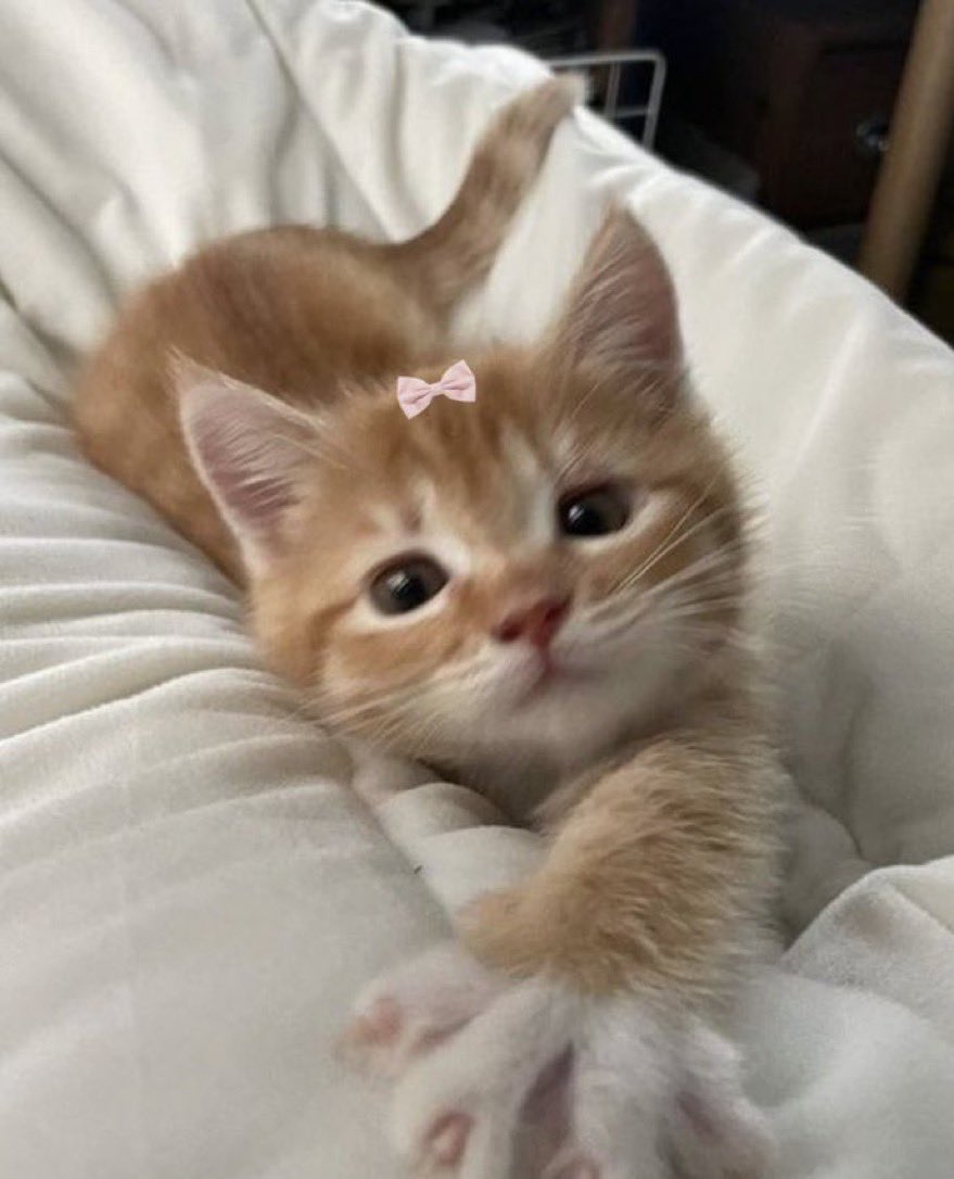 buongiorno sono sette mesi che le mie mamme mi sopportano