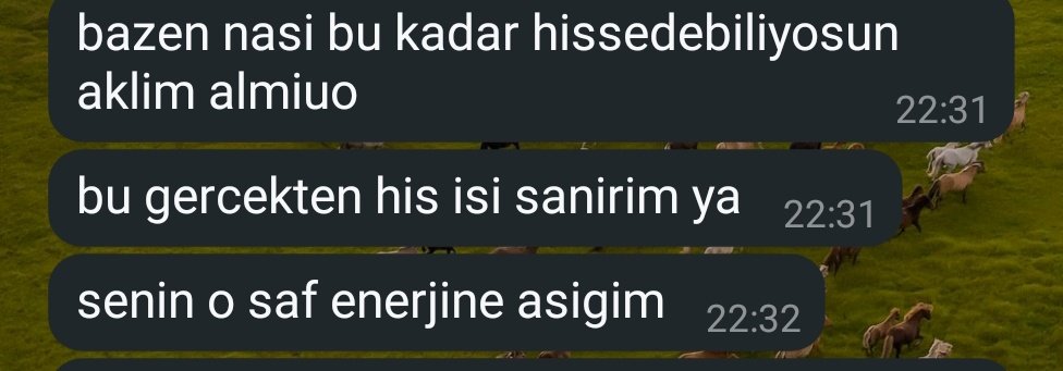 wBitch00's tweet image. bu geceye kadar randevular devam etmekte herkes e iyi seneleerrr🎉🎈💐🎀🩷🎊🎄