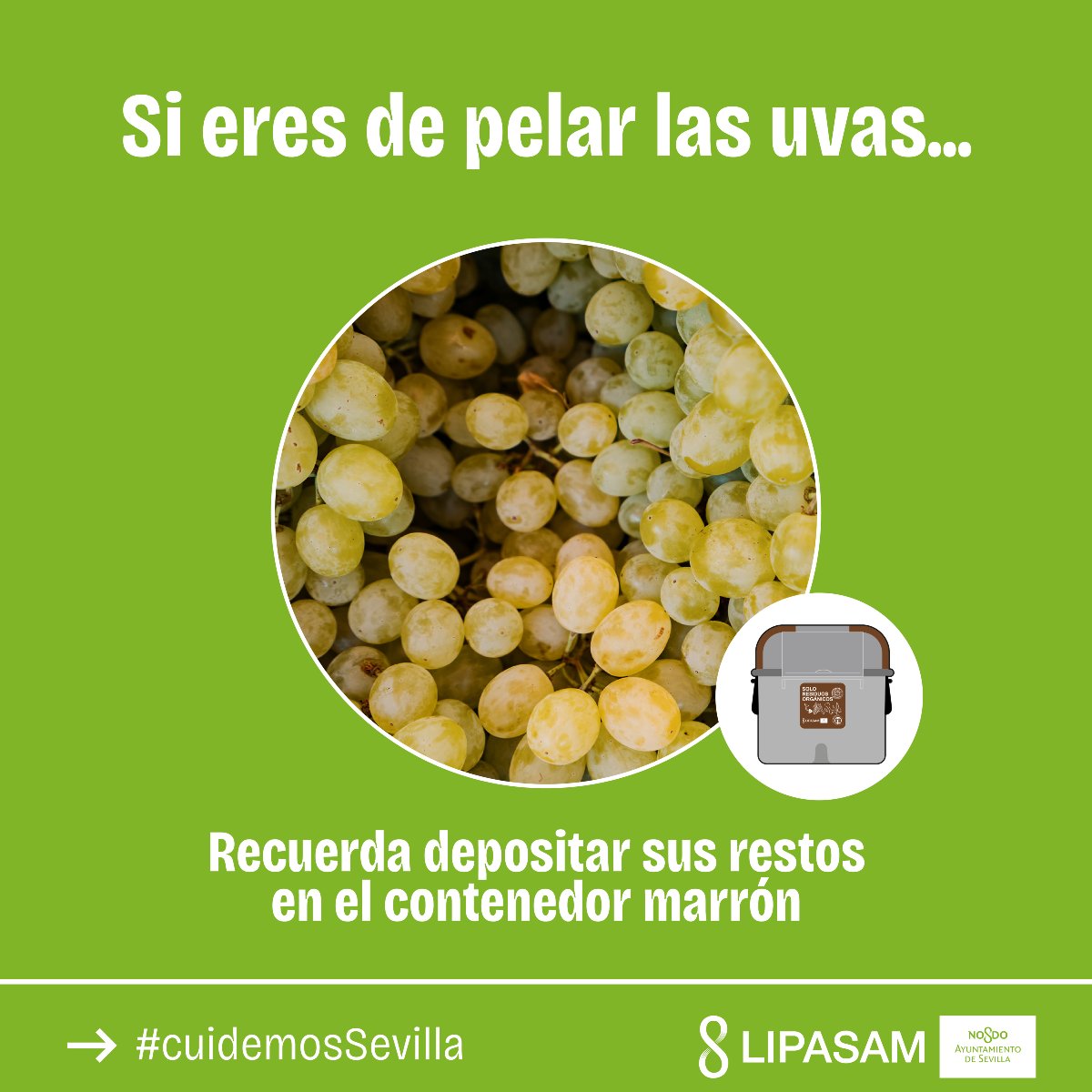 LipasamSevilla's tweet photo. #2025 Empezar bien el año comiéndote las #12uvas, pero si se te resiste alguna, ya sabes, al contenedor marrón 🤎
#Biorresiduos #cuidemosSevilla https://t.co/yDE2k0EkOa
