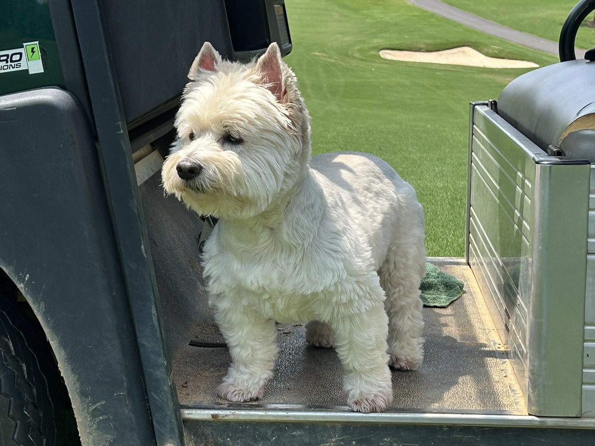 1908 Turf tweet media