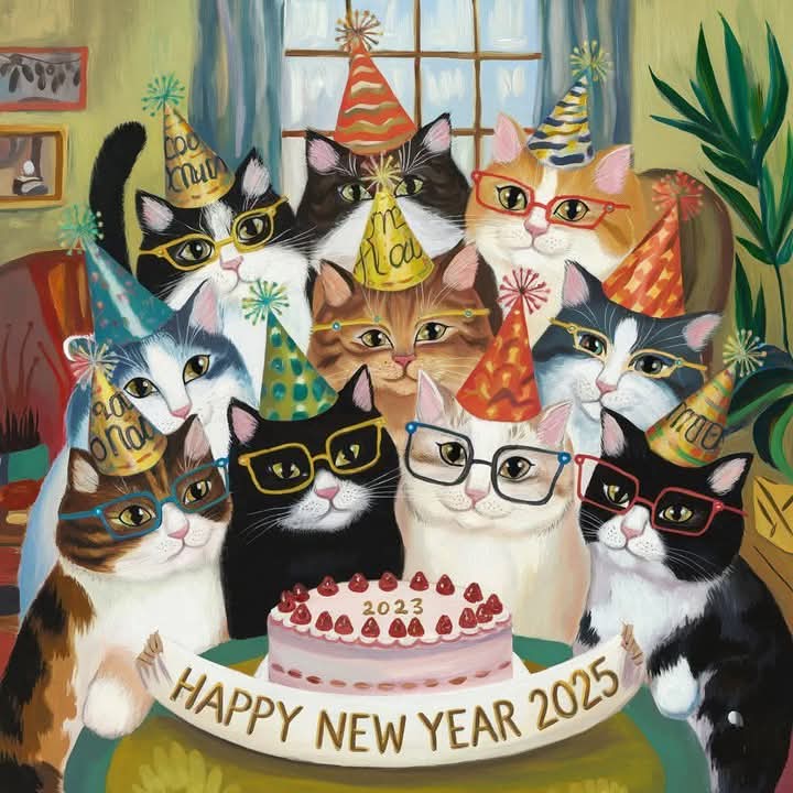 👋❤🙏🏻🐞bonne journée