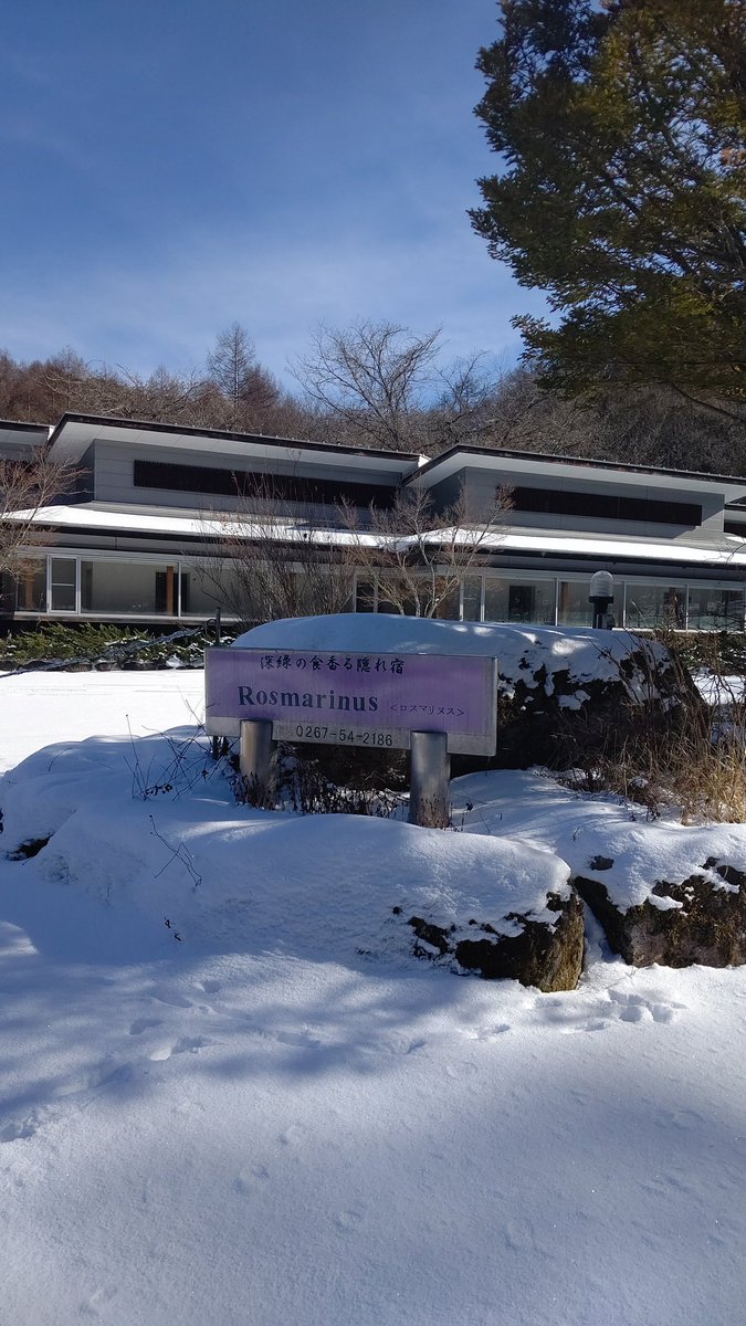 深緑の食香る隠れ宿ロスマリヌス【公式】(看板保護猫と会える宿) tweet media