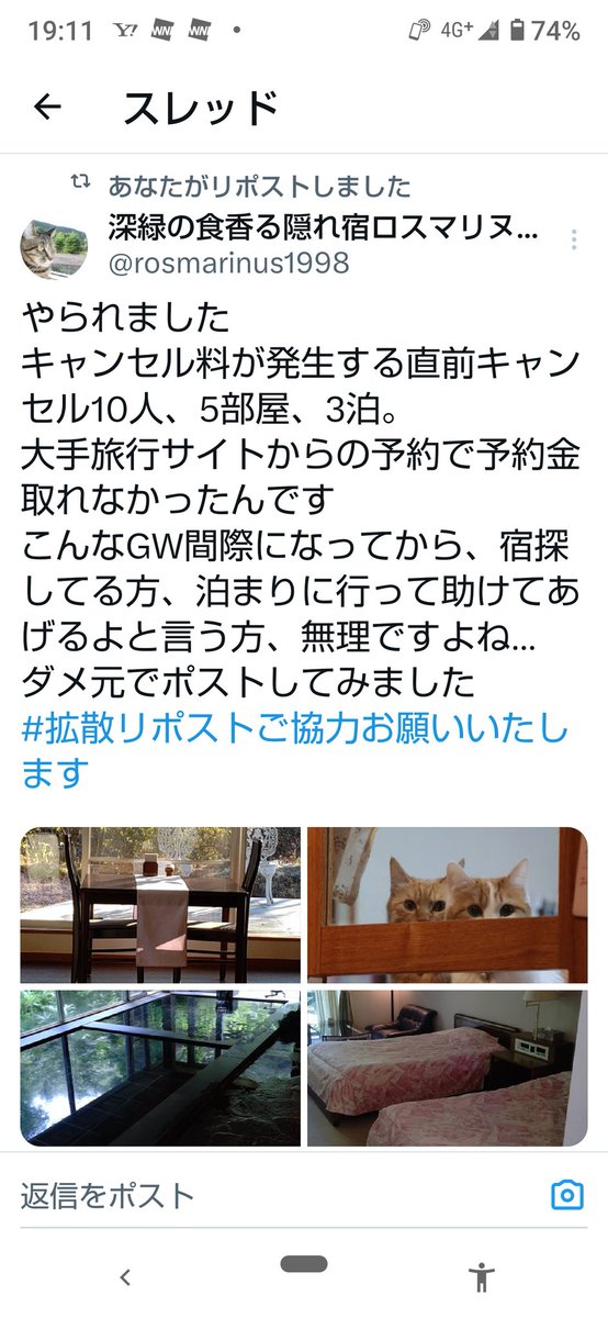 深緑の食香る隠れ宿ロスマリヌス【公式】(看板保護猫と会える宿) tweet media
