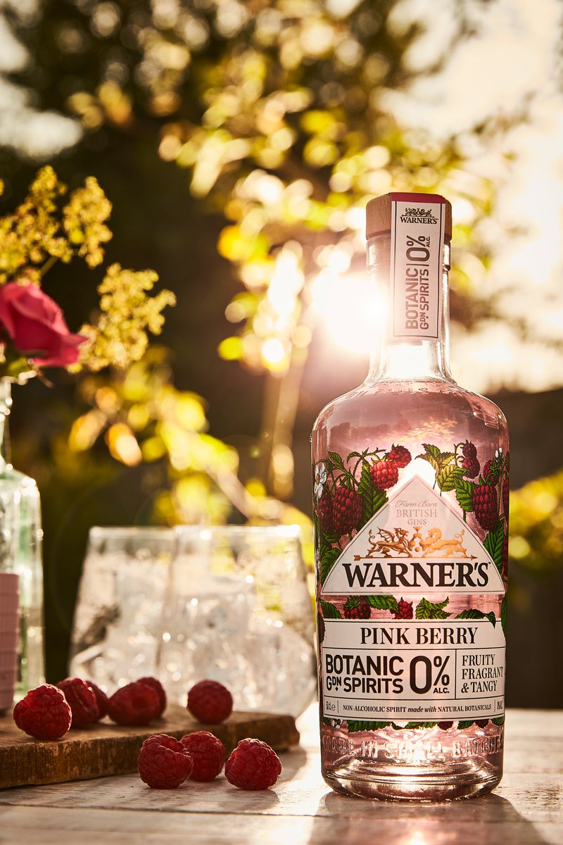 Fancy a refreshing fruity G&amp;T without the alcohol? 🍸🧊

<a href="/warnersgin/">Warner’s Distillery</a> Botanic Pink Berry will hit the craving and not ruin the Dry January streak 🥳

distillersdirect.com/products/warne…

#warners #warnersdistillery #gin #tonic #dryjanuary #january #distillersdirect
