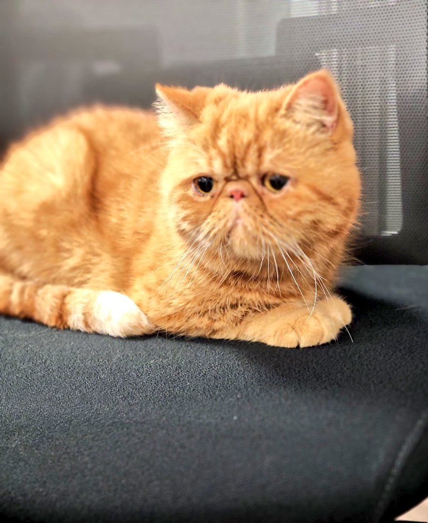 Atlattıklarımızın geride,
Başardıklarımızın bizimle kalacağı,

Bahtiyar ettikçe Bahtiyar olacağımız 2025.

Her gelen gibi hoş geldin,

İyiliği engelemeye çalışan ve nefret biriktirenlerin  sevgiyi öğrenip mutlu  olabileceği bir yıl olsun.

Tükenmeyen umudumuz hiç bitmesin.