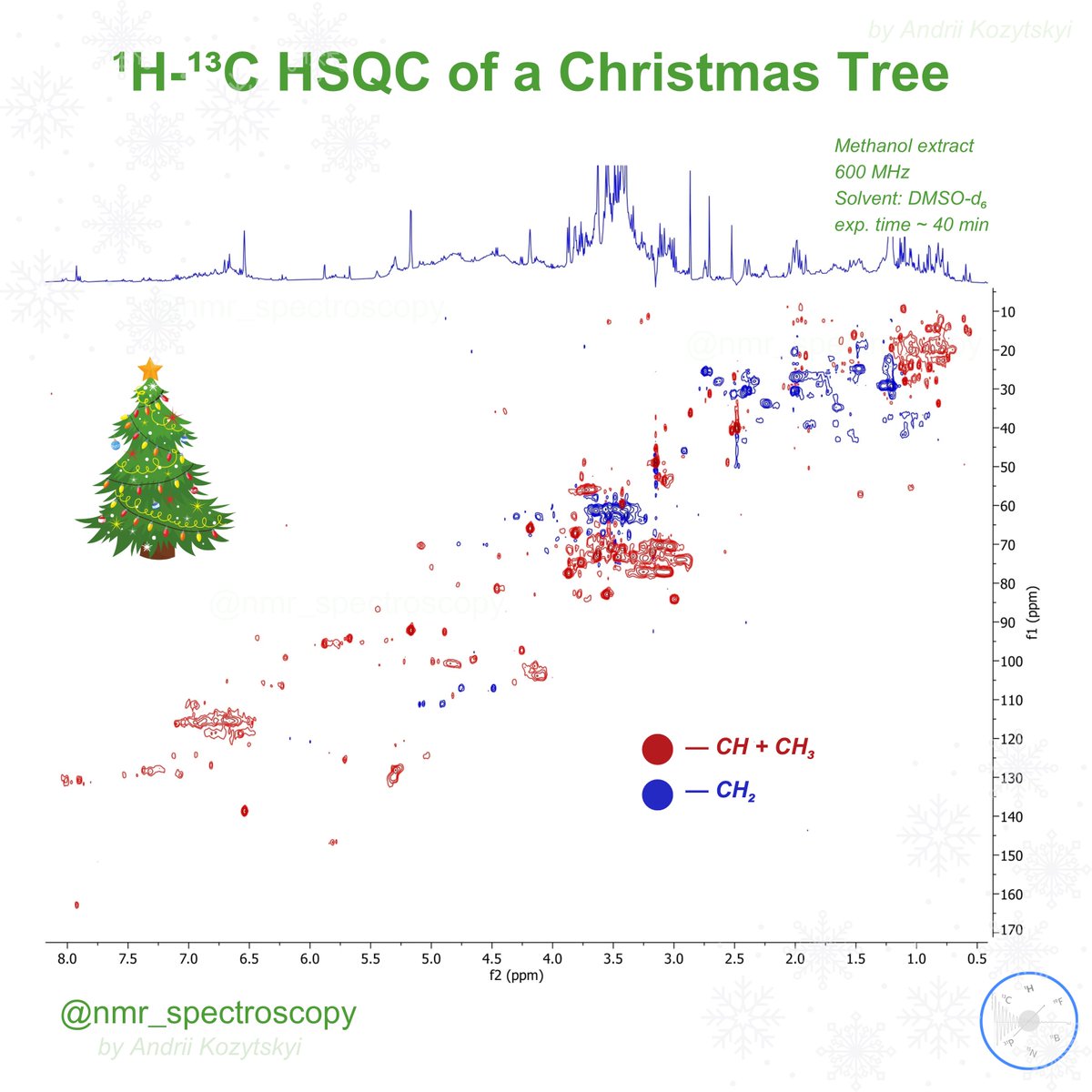 NMRspectroscopy's tweet image. Happy New Year, NMR community 🎉🍾
🎄🔬 ¹H-¹³C HSQC Spectrum of a Christmas Tree Extract 🎅✨
This festive HSQC spectrum highlights the diverse range of compounds present in the methanol extract of a Christmas tree. 🧵👇
#nmr #nmrchat #chemistry #organicchemistry