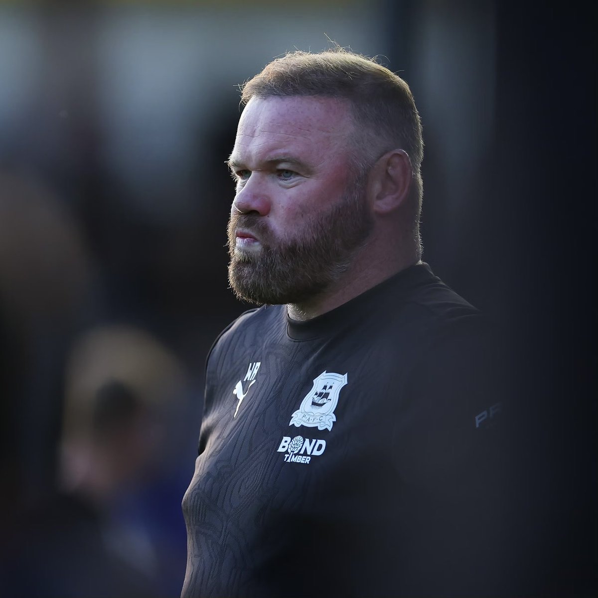 Second Tier podcast tweet media